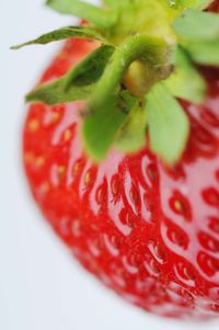 Deliciuos-Strawberry by Stefan Böhme